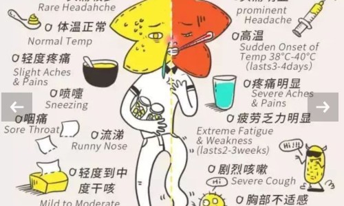 肠癌晚期中药完全缓解-肠癌晚期吃什么中药好网-分享肠癌晚期吃什么中药好一点，肠癌晚期吃什么中药好一点知识库